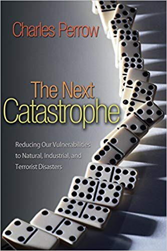 The Next Catastrophe book cover