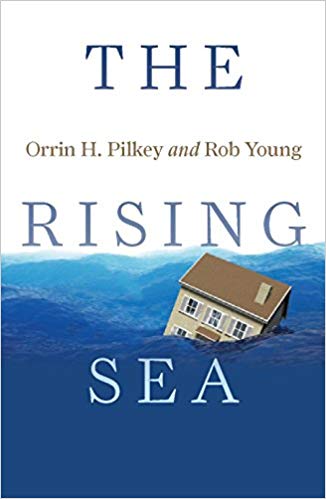 Book cover of The Rising Sea
