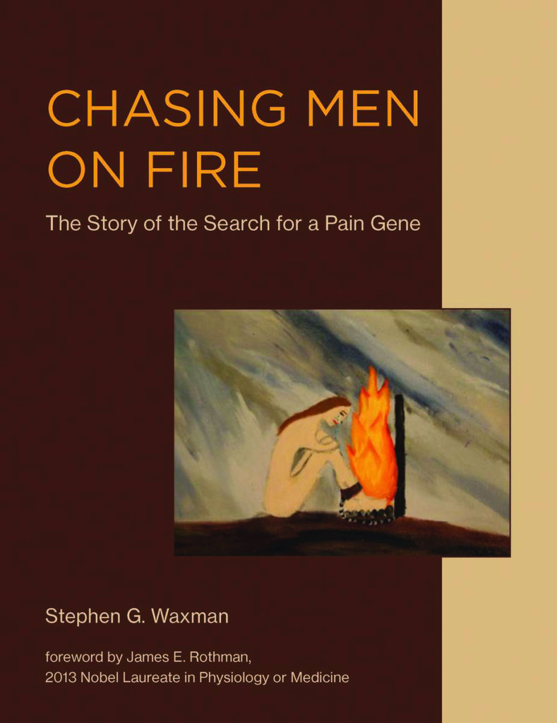 Stephen G. Waxman, Chasing Men on Fire (2018)