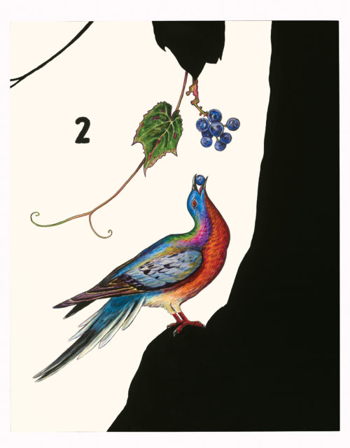 James Prosek, "Passenger Pigeon (with Wild Grapes)" (2015)