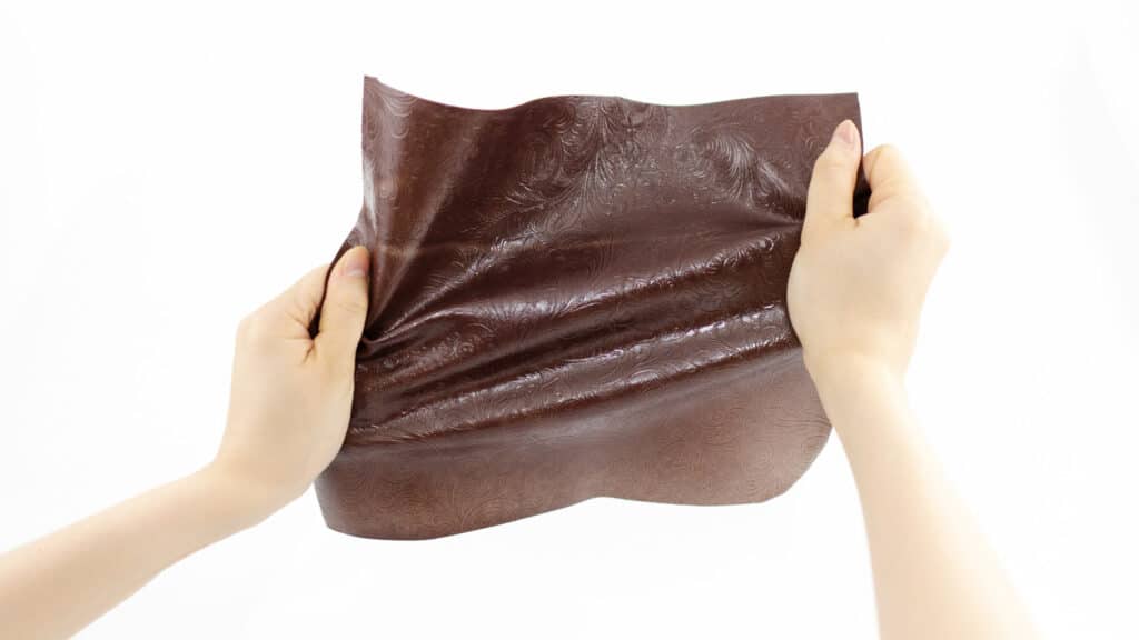 Biodesign Challenge: Tômtex is a leather-like biomaterial.