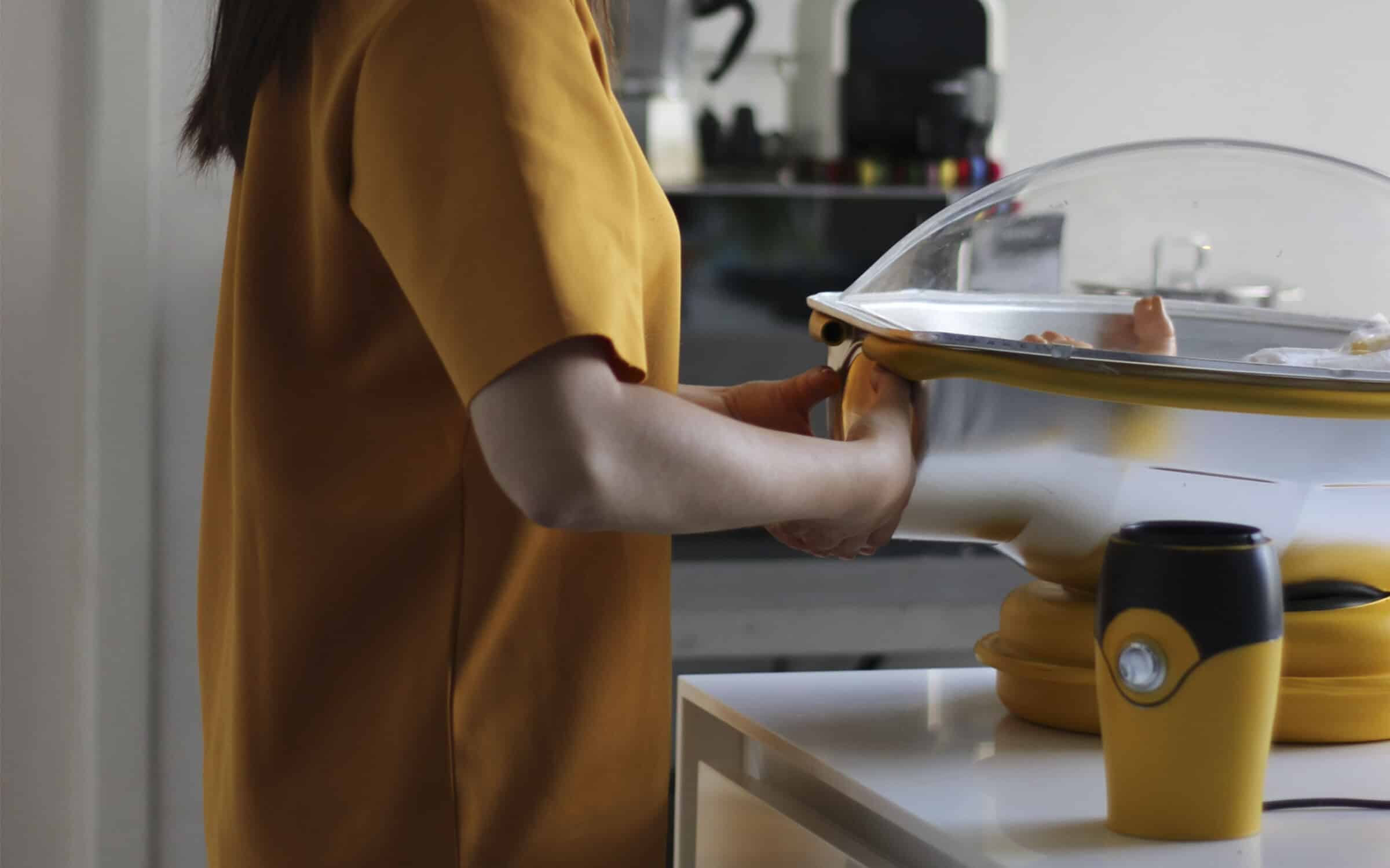 Can Babies Be Born From Biobags? Issues in Science and Technology