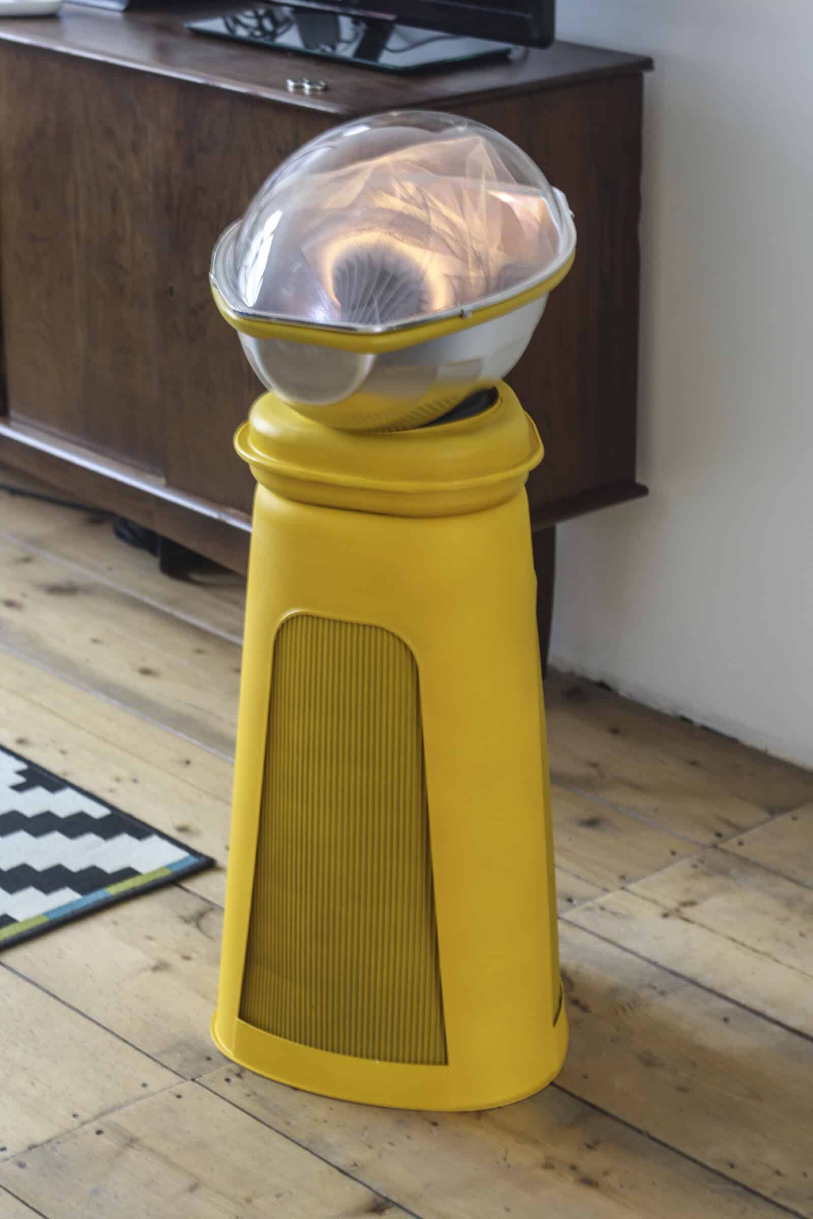 Can Babies Be Born From Biobags? Issues in Science and Technology