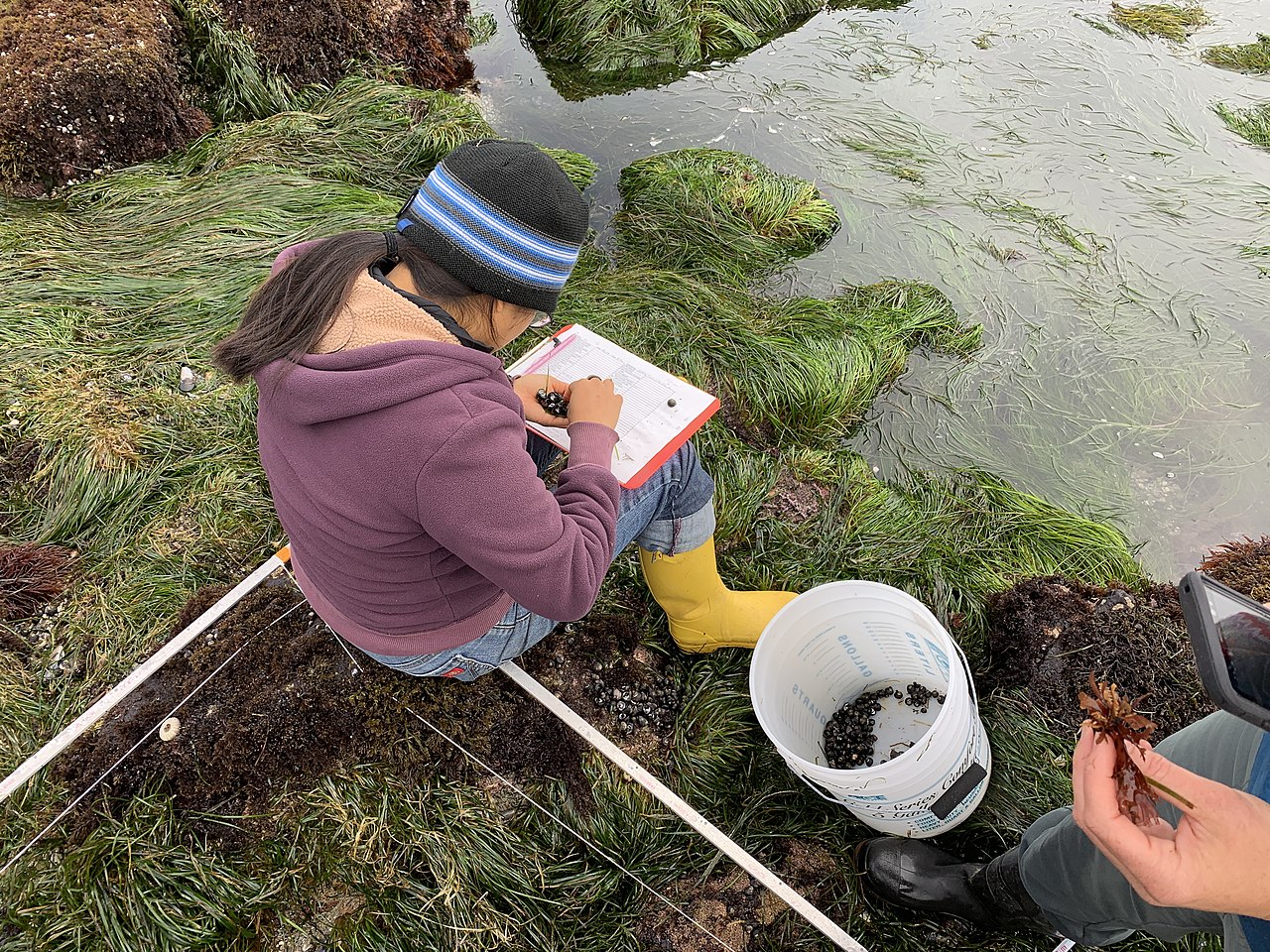 warren collaboratory north carolina