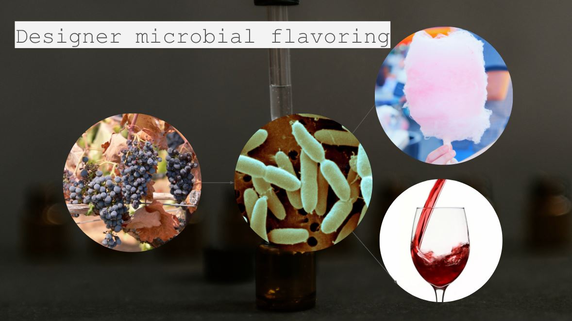 Can Microbes Help Us Taste Alternate Worlds? | Issues in ...