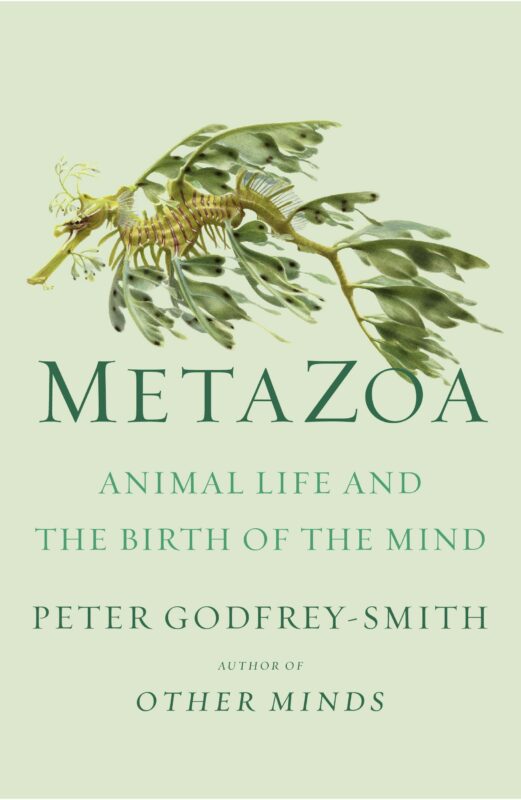 Peter Godfrey-Smith, METAZOA: ANIMAL LIFE AND THE BIRTH OF THE MIND (2020)