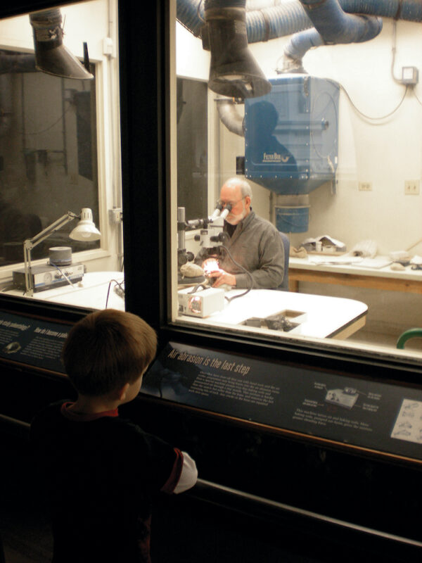 A museum visitor watches a volunteer prepare a fossil under a microscope at the Field Museum in Chicago.
