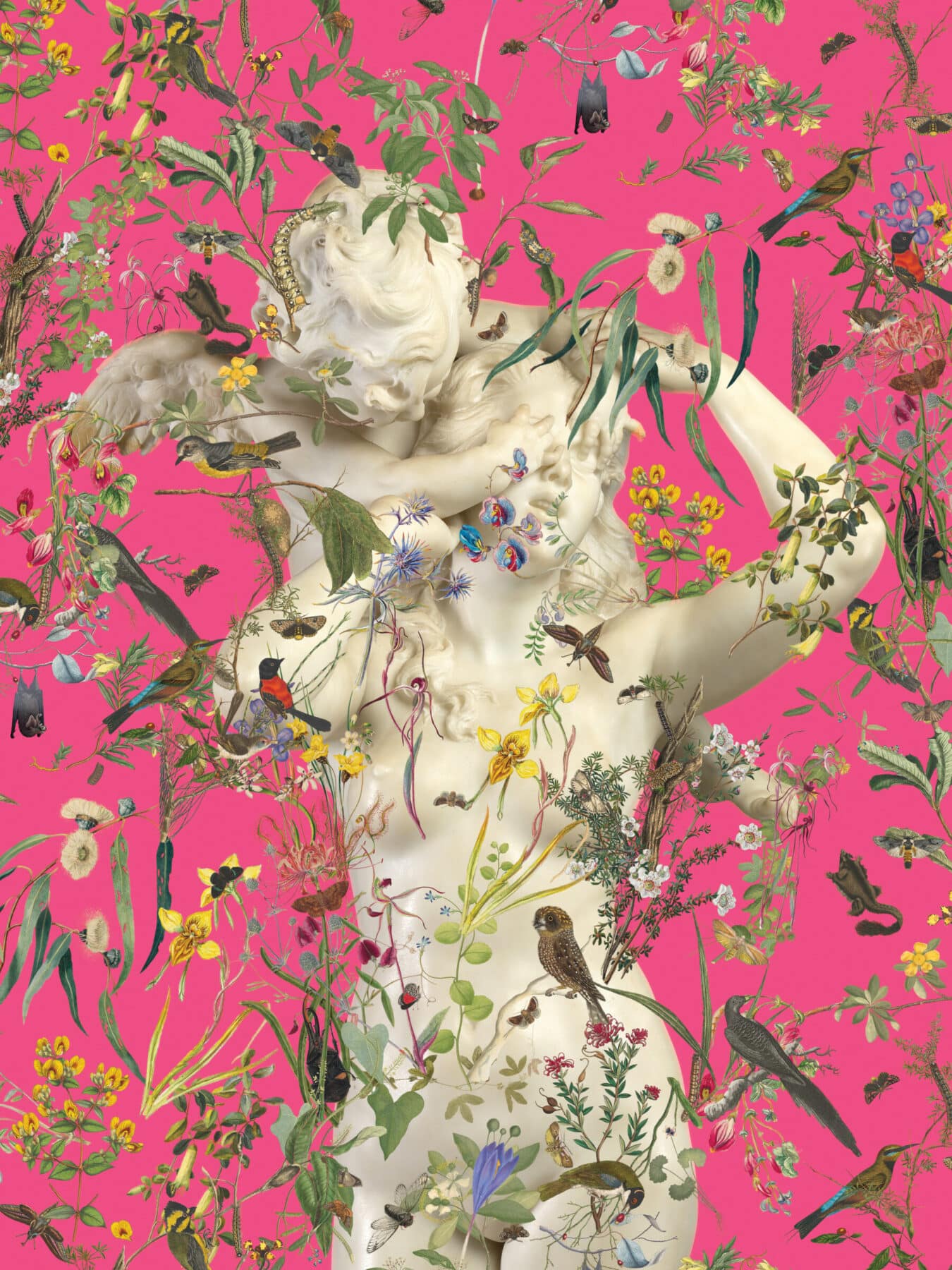 The Subversive Beauty of Fallen Fruit Gallery