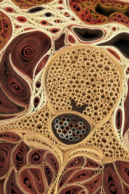Lisa Nilsson, "Abdomen" (detail), 2011