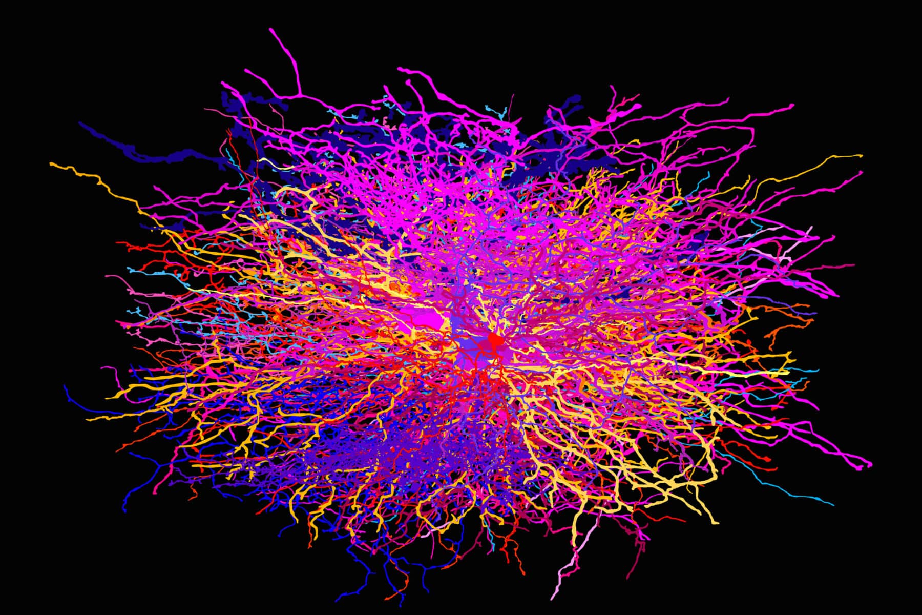 Julia Buntaine Hoel, “Thoughts 35” (2016–2017), digital print on aluminum, 20 x 16 inches. Neuron data acquired from neuroimaging software developed by EyeWire.