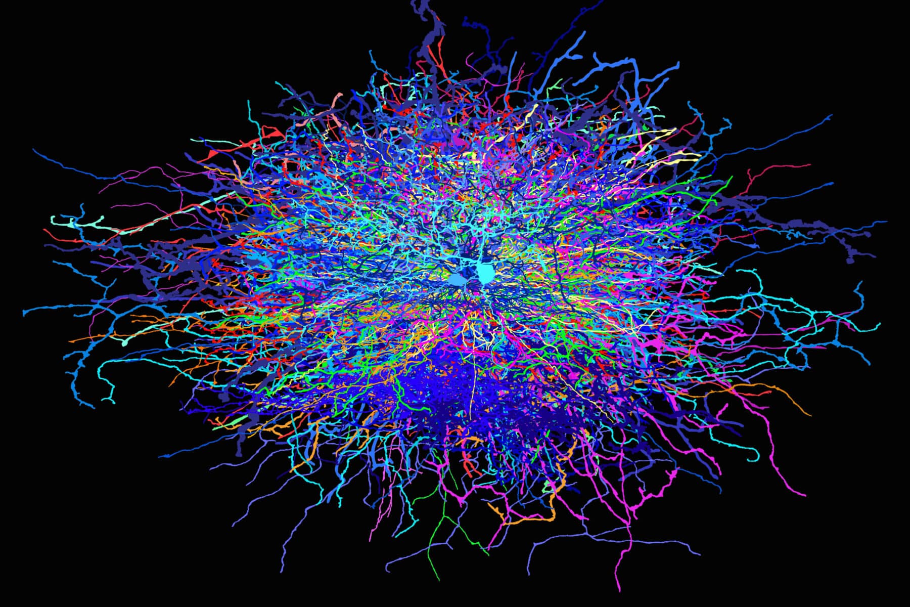 Julia Buntaine Hoel, “Thoughts 86” (2016–2017), digital print on aluminum, 20 x 16 inches. Neuron data acquired from neuroimaging software developed by EyeWire.