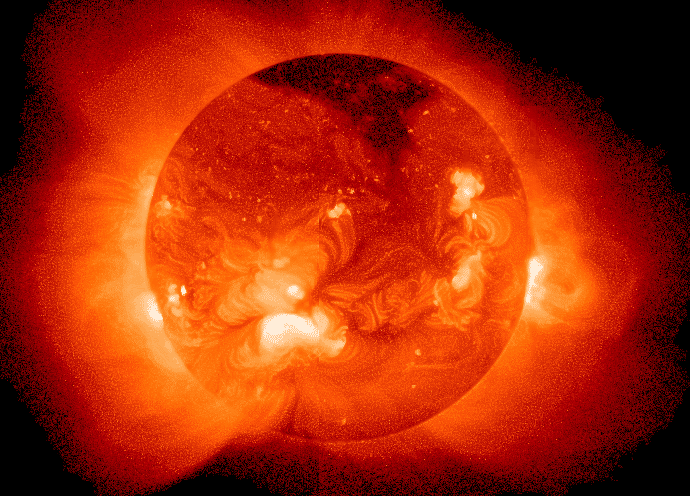 What can fusion energy learn from biotechnology?