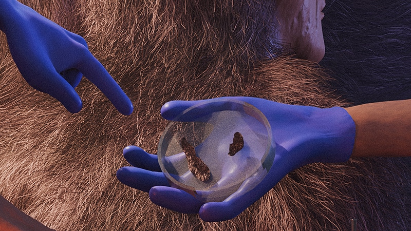 Rey Velasquez Sagcal's illustration for "Bigfeet" by Torie Bosch