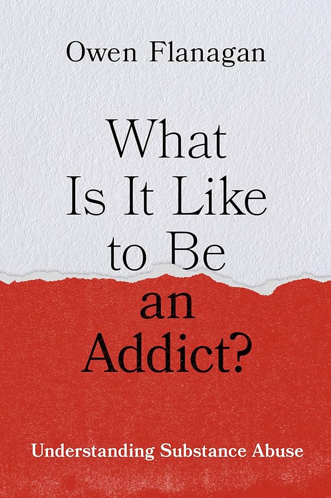 "What Is It Like to Be an Addict?" by Owen Flanagan