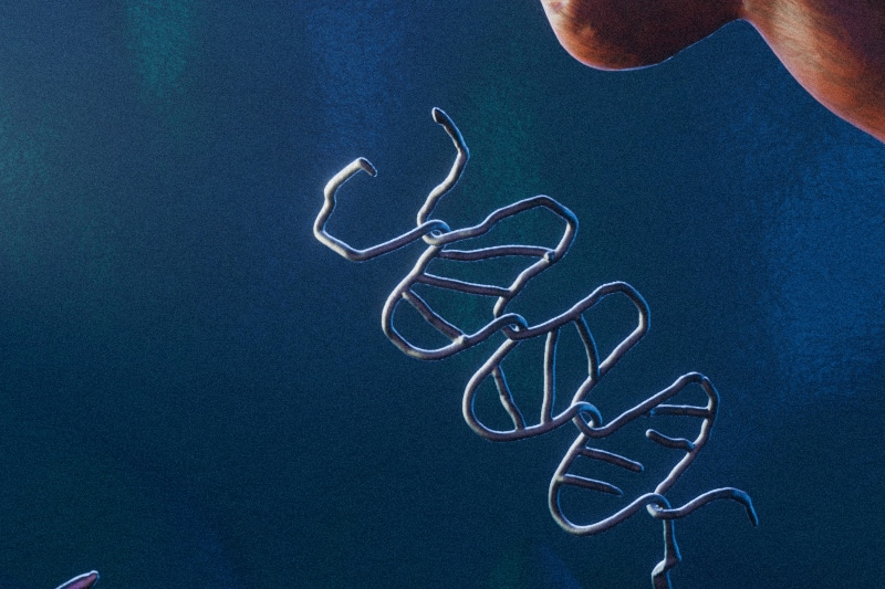 Rey Velasquez Sagcal's illustration