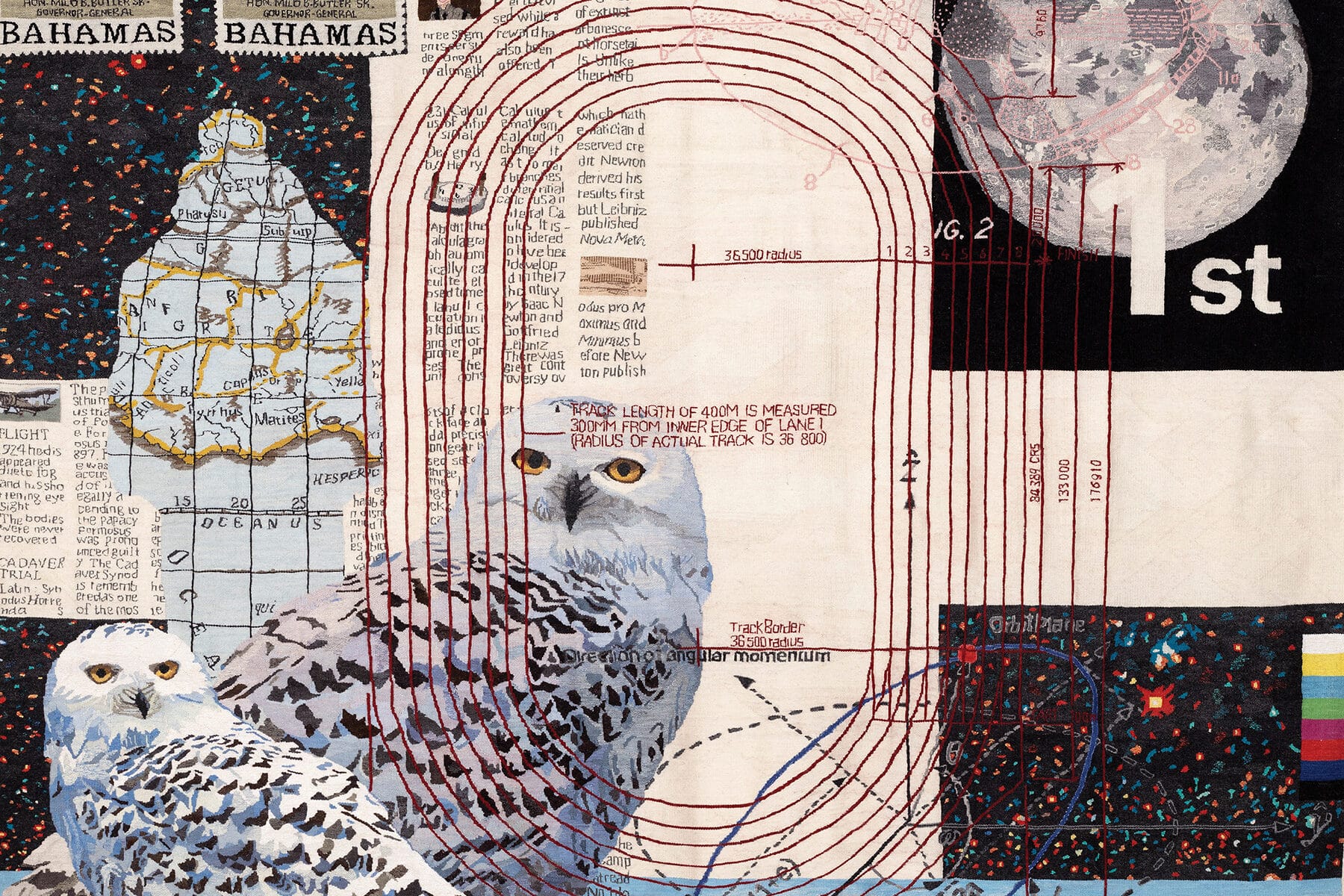 Tavares Strachan, “Shadow Maps (The Snowy Owl),” 2022, © Tavares Strachan, courtesy of the artist, photograph by Thys Dullart.