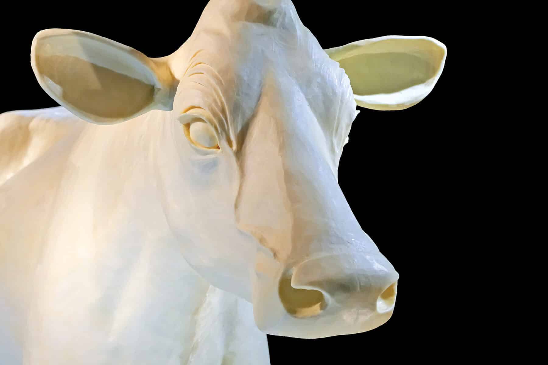 Sarah Pratt, Butter Sculpture of a Jersey Cow (installation view), made specially for the Renwick Gallery of the Smithsonian American Art Museum. Photo by Albert Ting.