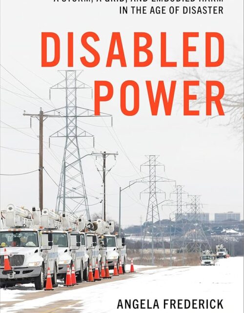 Diabled Power by Angela Frederick