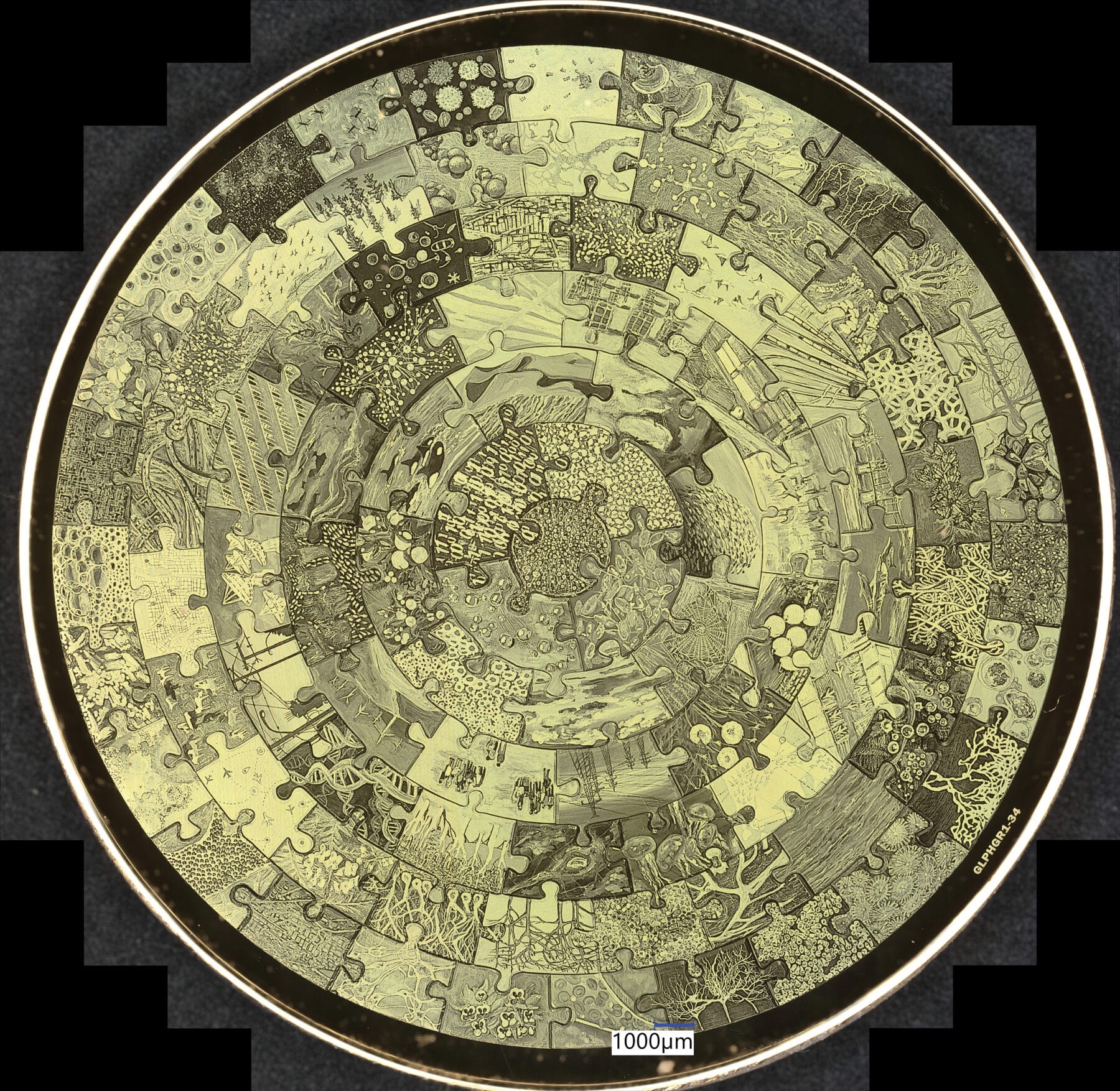 Richelle Ellis, ONE, 2026, etching on nickel-based NanoFiche.