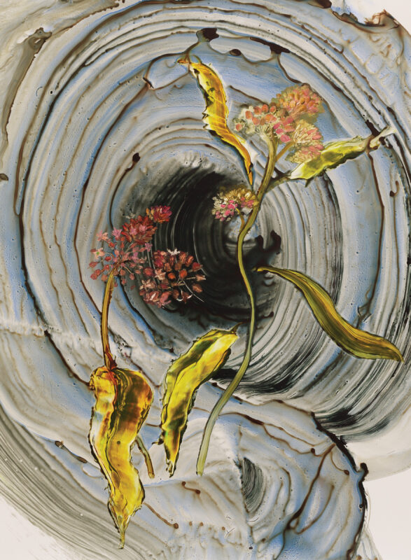 Ilana Manolson, "Milkweed Teenybopper," 2024, acrylic on yupo, 30 x 38 inches. Courtesy of the artist.